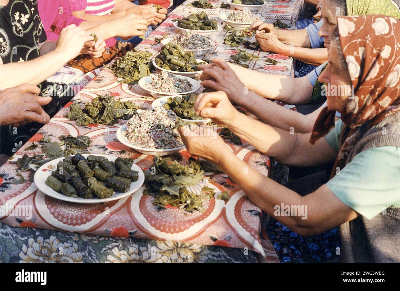 Vrancea County, Romania, approx. 1998. A group of local women preparing the traditional grape leaves rolls for an event. Stock Photo