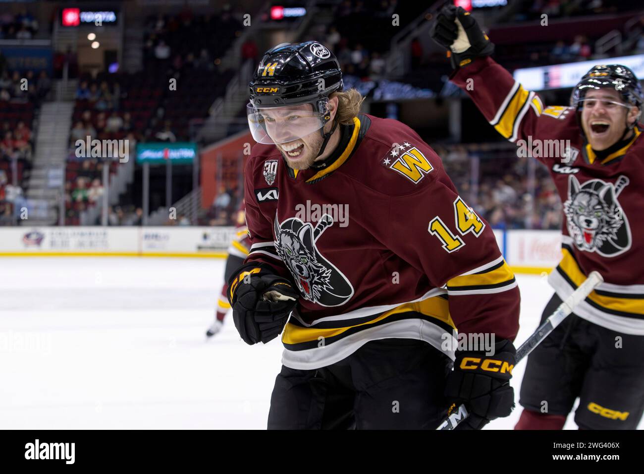 CLEVELAND, OH - FEBRUARY 02: Chicago Wolves left wing Nathan Sucese (14 ...