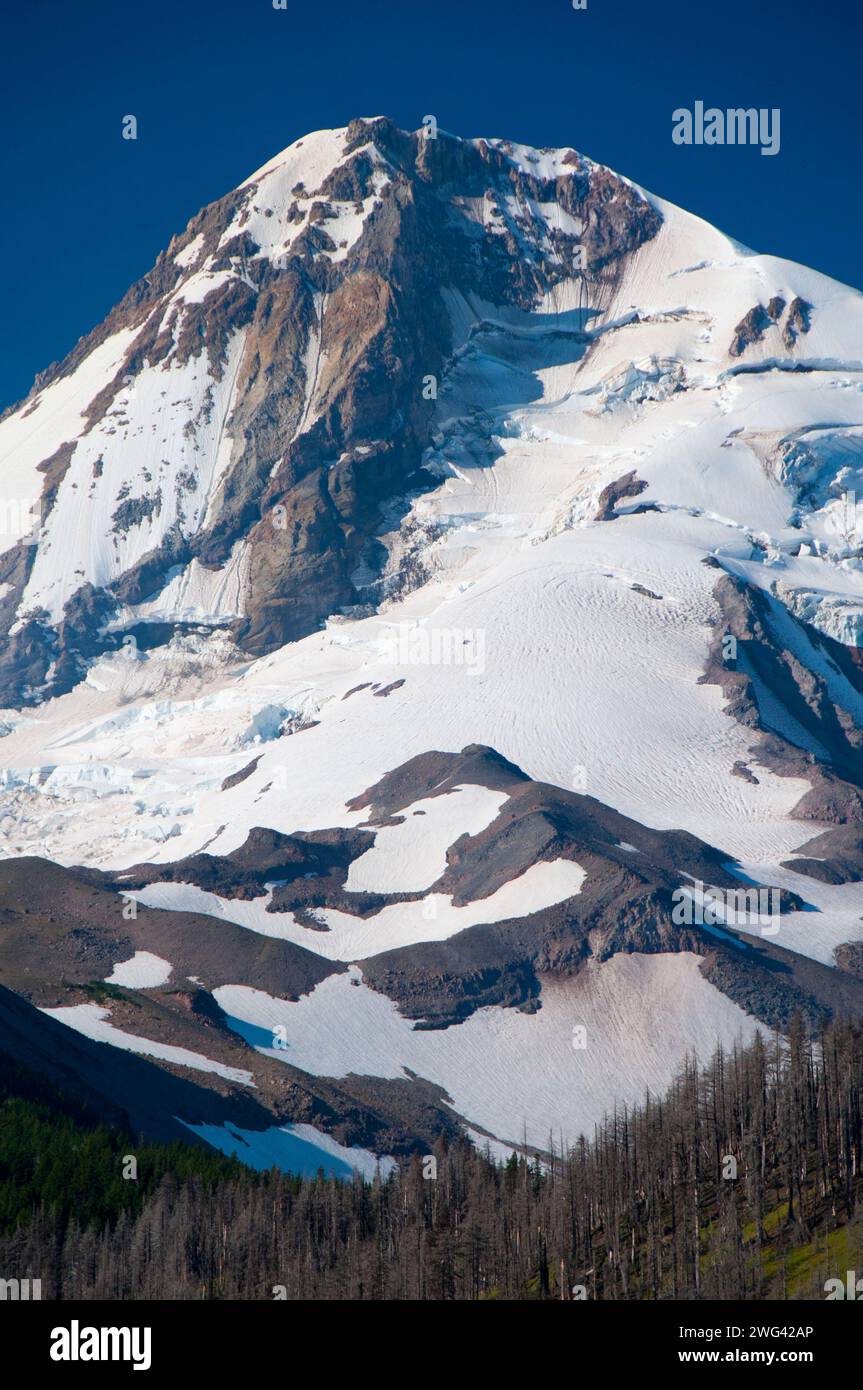 Mt Hood, Mt Hood National Forest, Oregon Stock Photo - Alamy