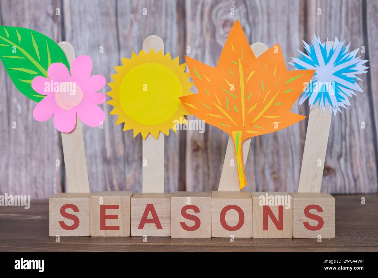 Four seasons word typography in wooden background Stock Photo - Alamy