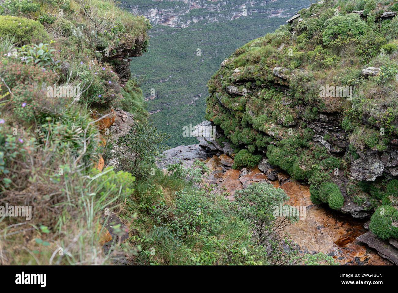 Rugged cliffs lush vegetation hi-res stock photography and images - Alamy