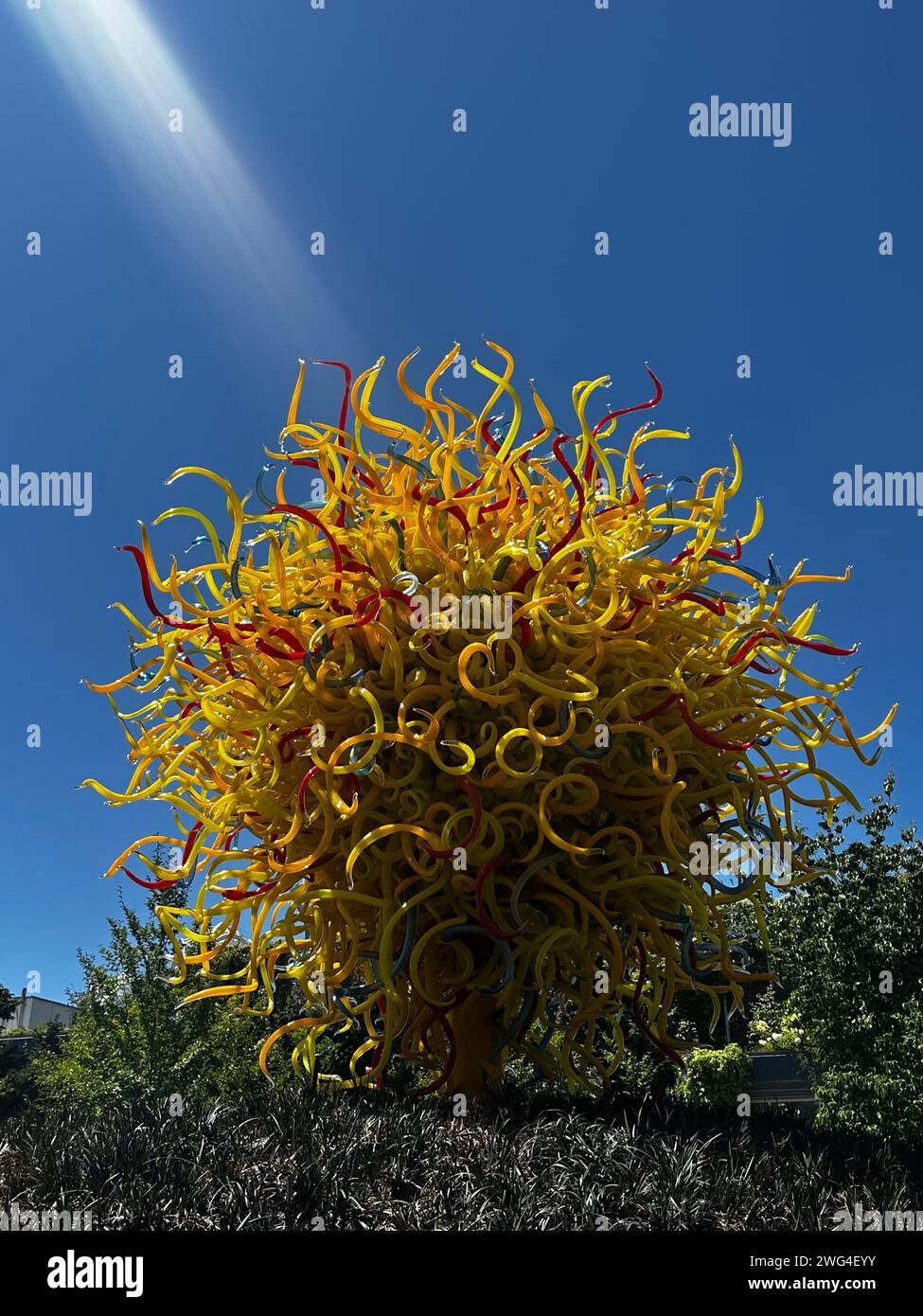 Glass plant with sun behind and lawn in front Stock Photo Alamy