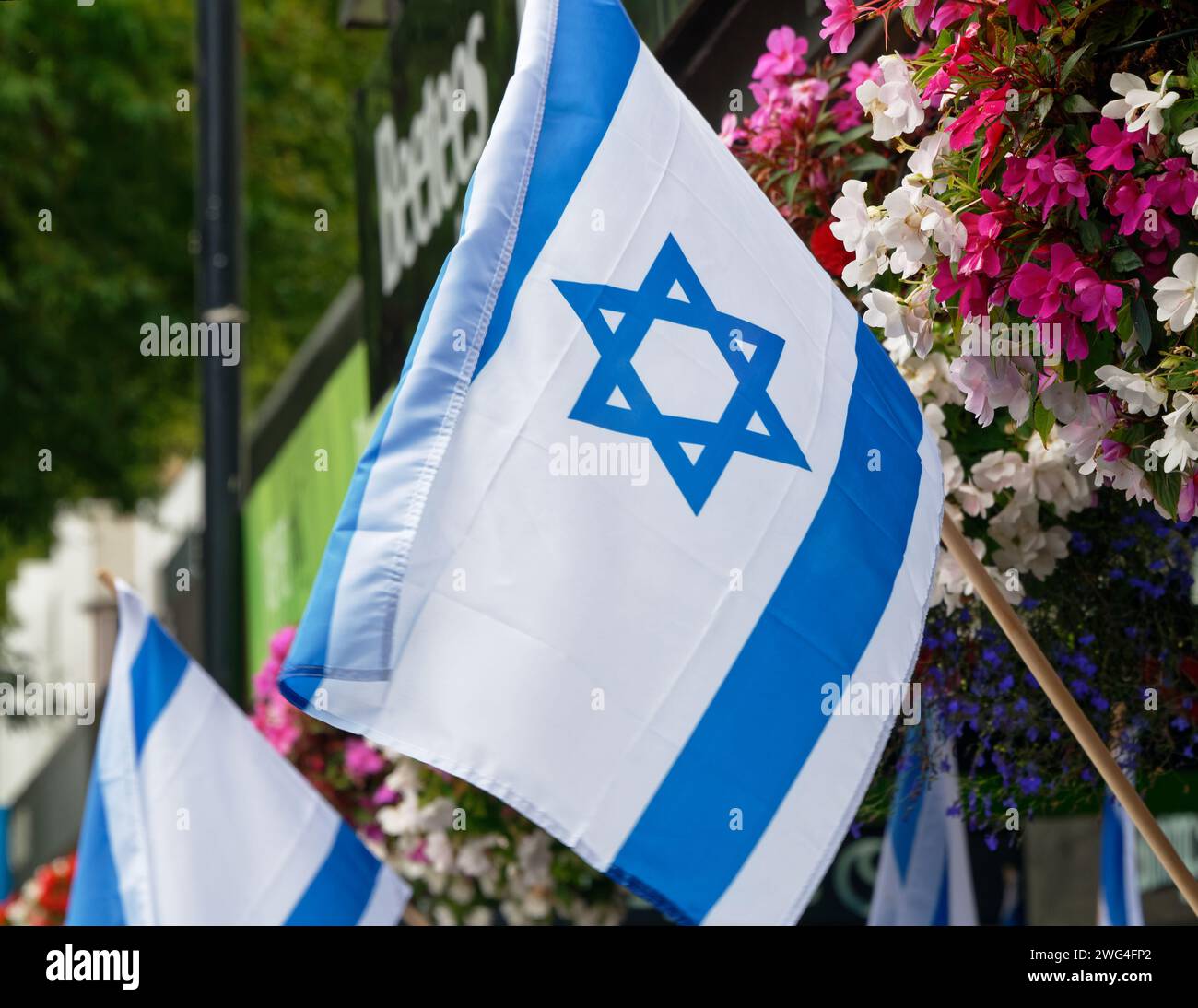 An Israeli flag with the Shield of David is held high against a hanging basket of flowers during a protest Stock Photo