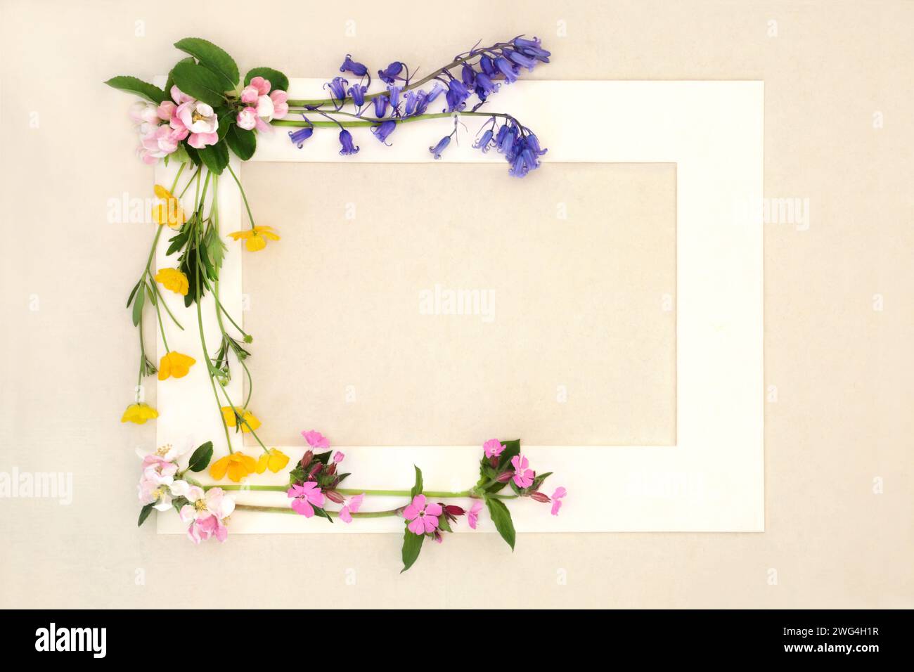 Abstract springtime Beltane wildflower background frame with bluebell ...