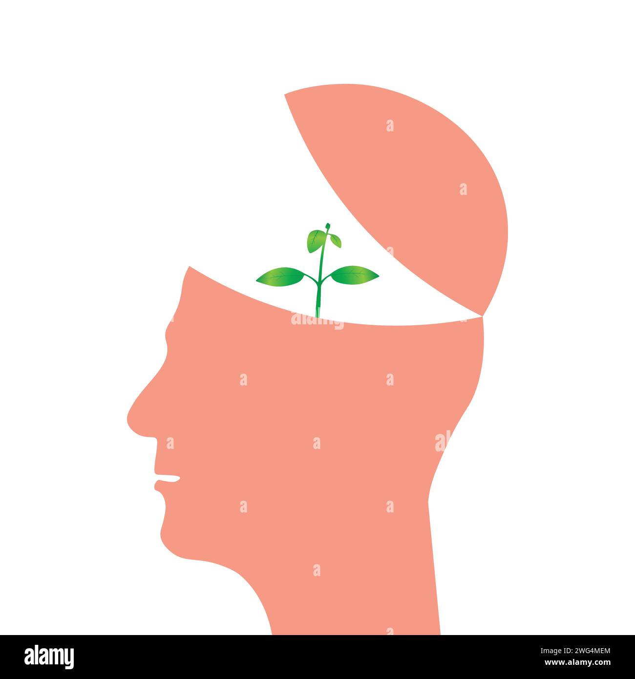 human head with a young plant growing from the brain, mind growth