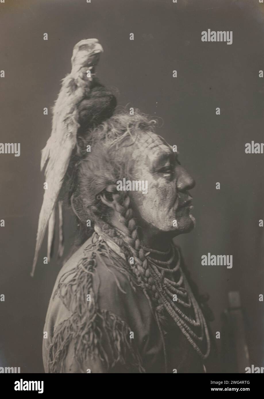 Two Whistles [A]-Apsaroke, c1908. Photograph shows Two Whistles, an Apsaroke man, head-and-shoulders portrait, right profile, face painted, wearing medicine hawk headdress, buckskin shirt, and shell necklaces. Stock Photo