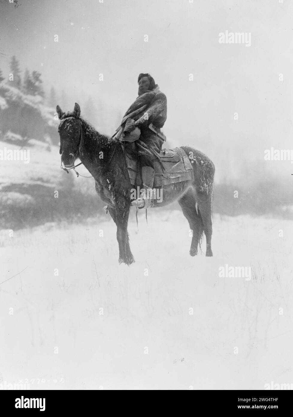 The scout in winter-Apsaroke, c1908. Apsaroke man on horseback on snow-covered ground, probably in Pryor Mountains, Montana. Stock Photo