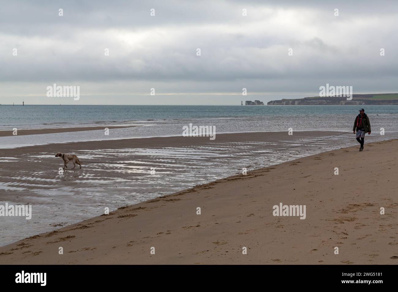 Studland, Dorset UK. 3rd February 2023. UK weather: cloudy, but mild at Studland beach as visitors head to the seaside for some fresh air and exercise. Credit: Carolyn Jenkins/Alamy Live News Stock Photo