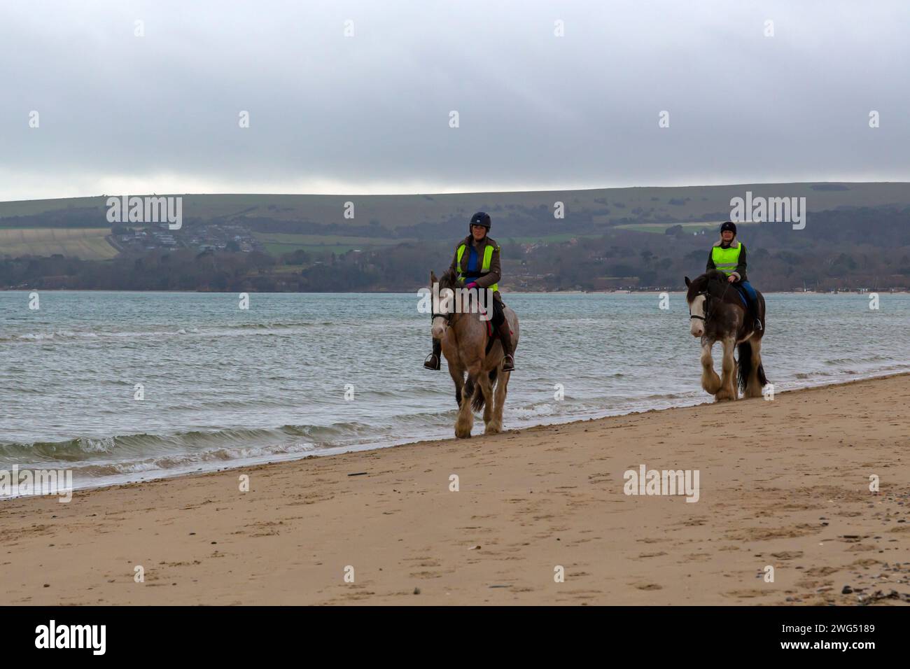 Studland, Dorset UK. 3rd February 2023. UK weather: cloudy, but mild at Studland beach as visitors head to the seaside for some fresh air and exercise. Horse riders enjoys a ride along the seashore. Credit: Carolyn Jenkins/Alamy Live News Stock Photo