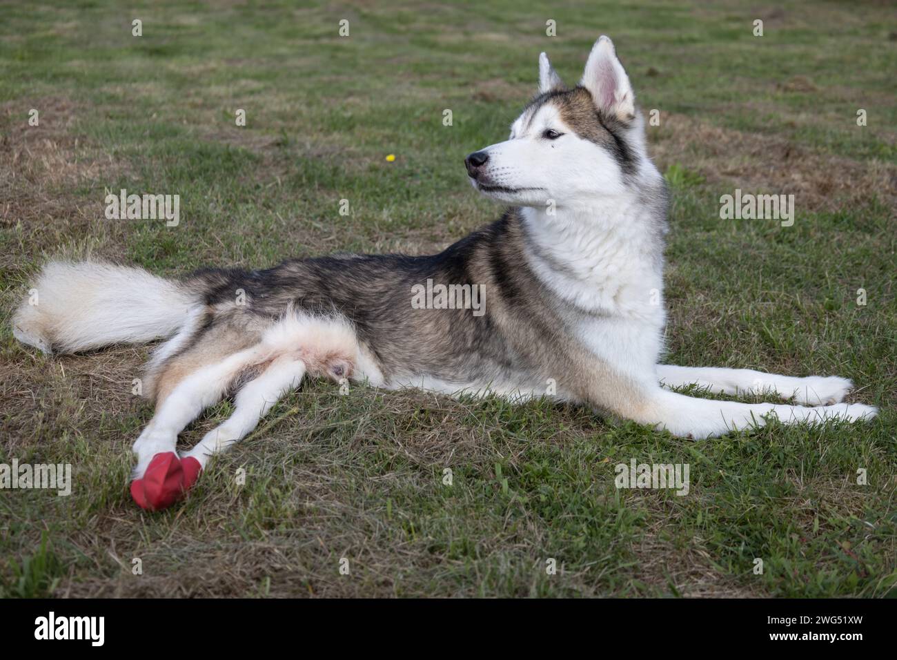 2023 glücklich hi-res stock photography and images - Alamy