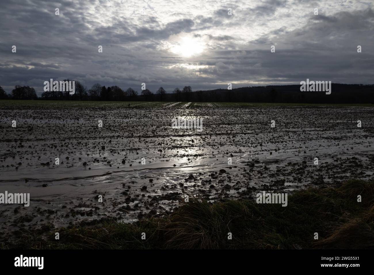 Flooded Field Stock Photo