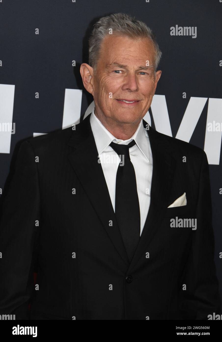 los-angeles-california-usa-2nd-february-2024-musician-david-foster