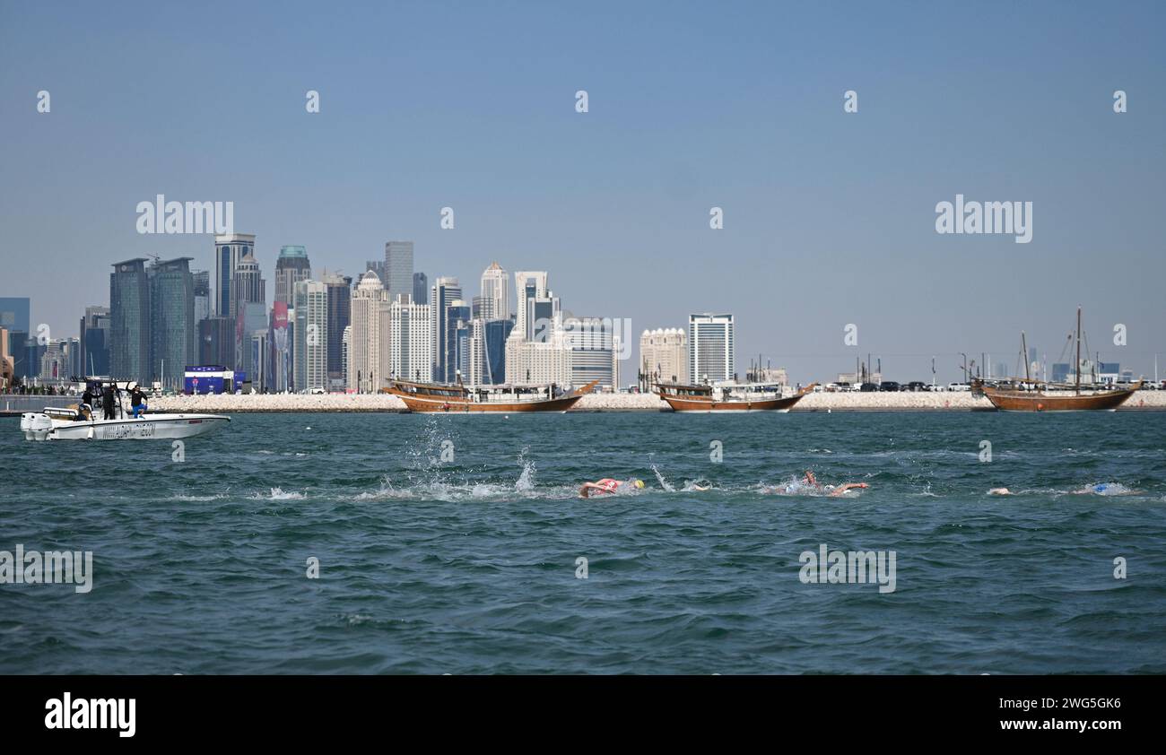 Doha, Qatar. 3rd Feb, 2024. Athletes swim during the women's 10km final