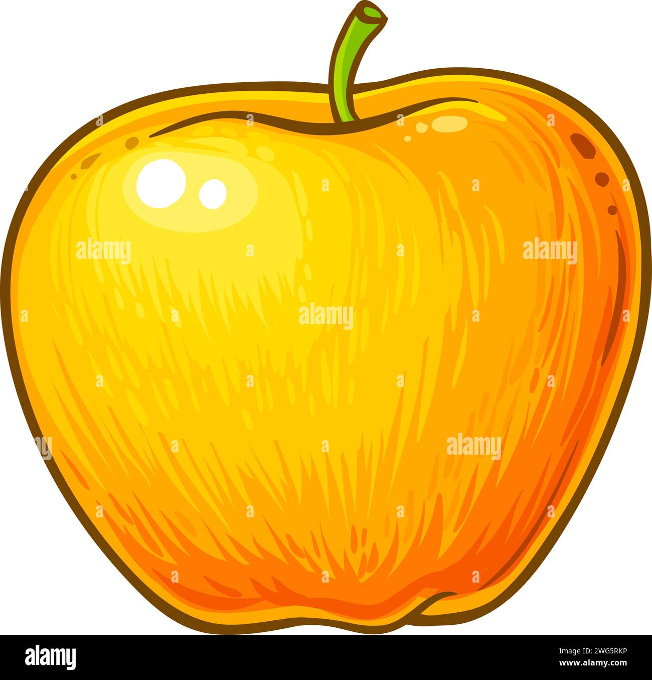 Apple Fruit Colored Detailed Illustration Stock Vector Image & Art - Alamy