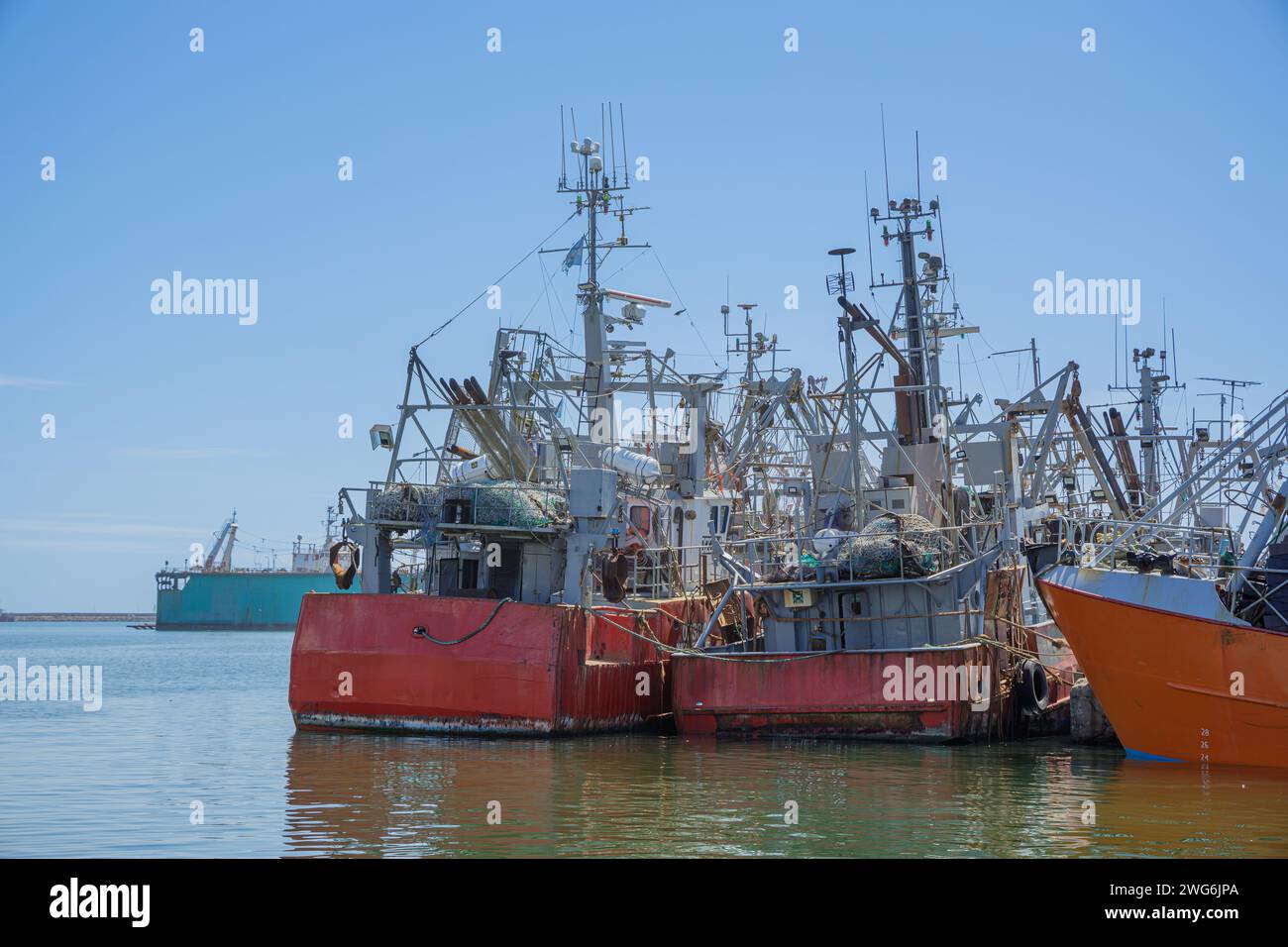 Fishing boats an sea lions in the port of Mar del Plata, Buenos Aires. Stock Photo