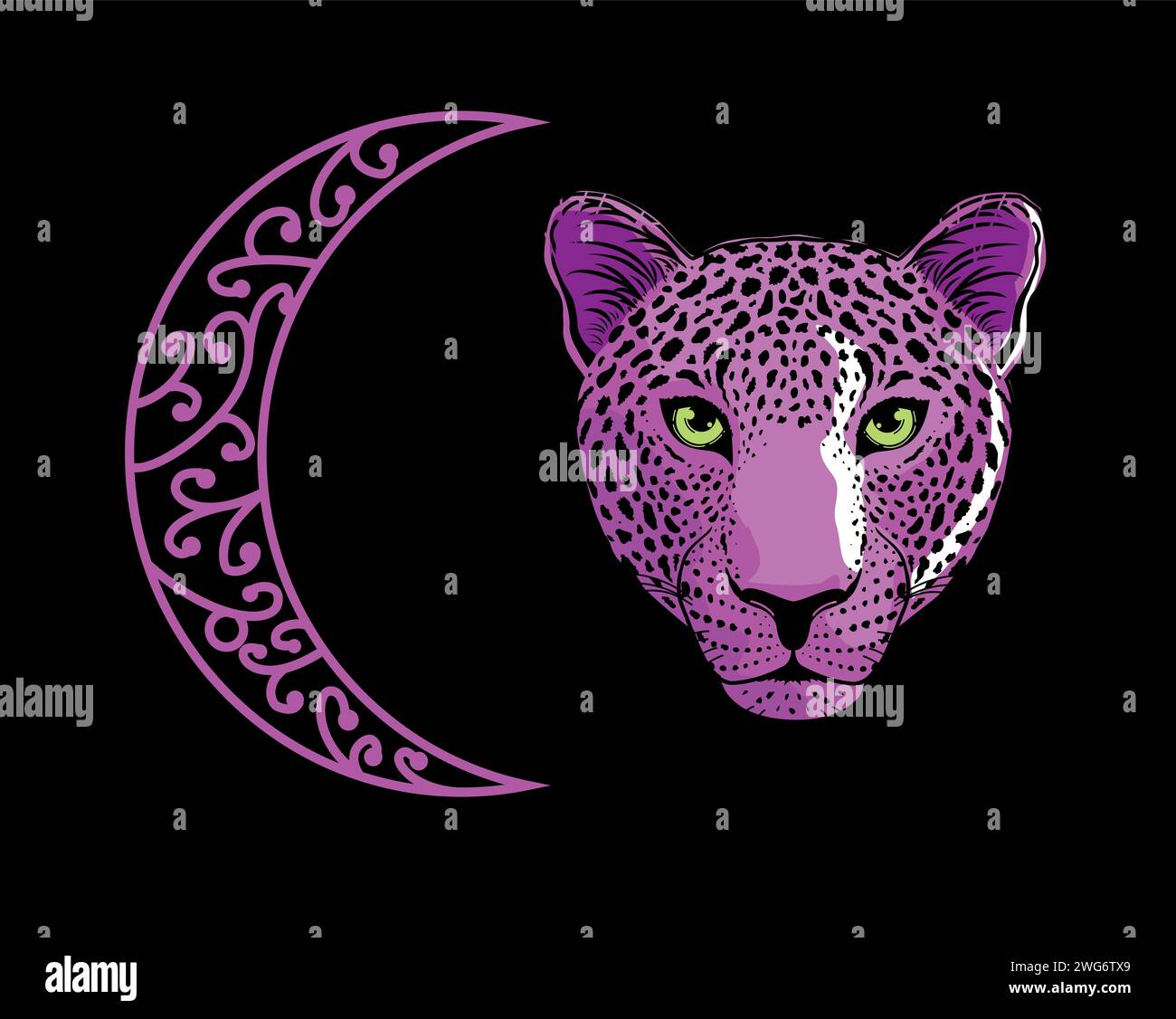 Arabian leopard drawing Stock Vector Images - Alamy