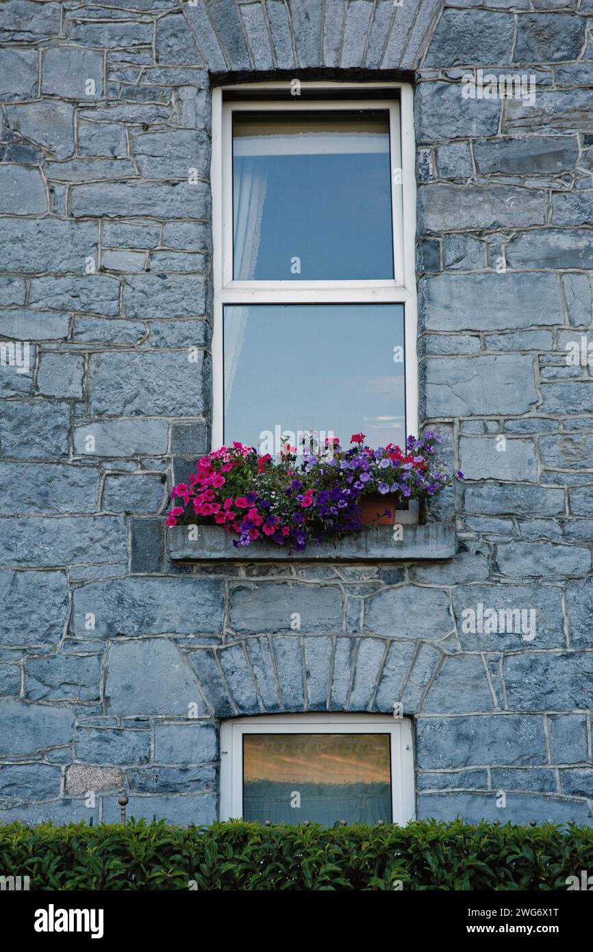 A Window box on the Glenlo Abbey Stock Photo