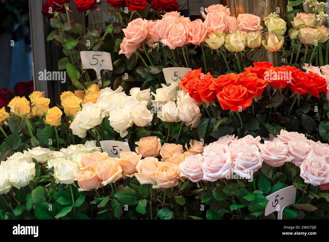 Preisschild preisschilder hi-res stock photography and images - Alamy
