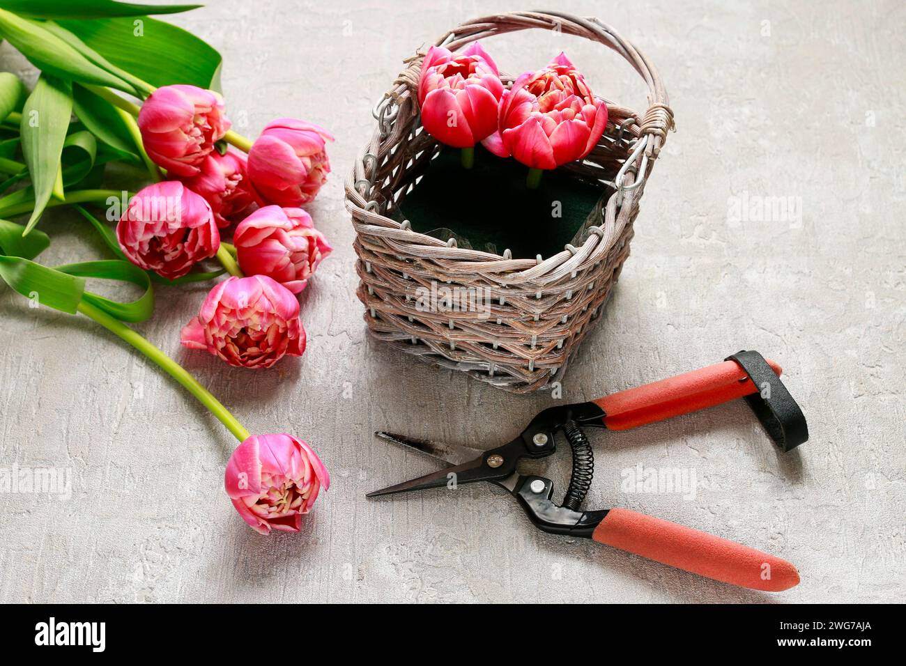 How to make bouquet of tulips in wicker basket - step by step, tutorial ...