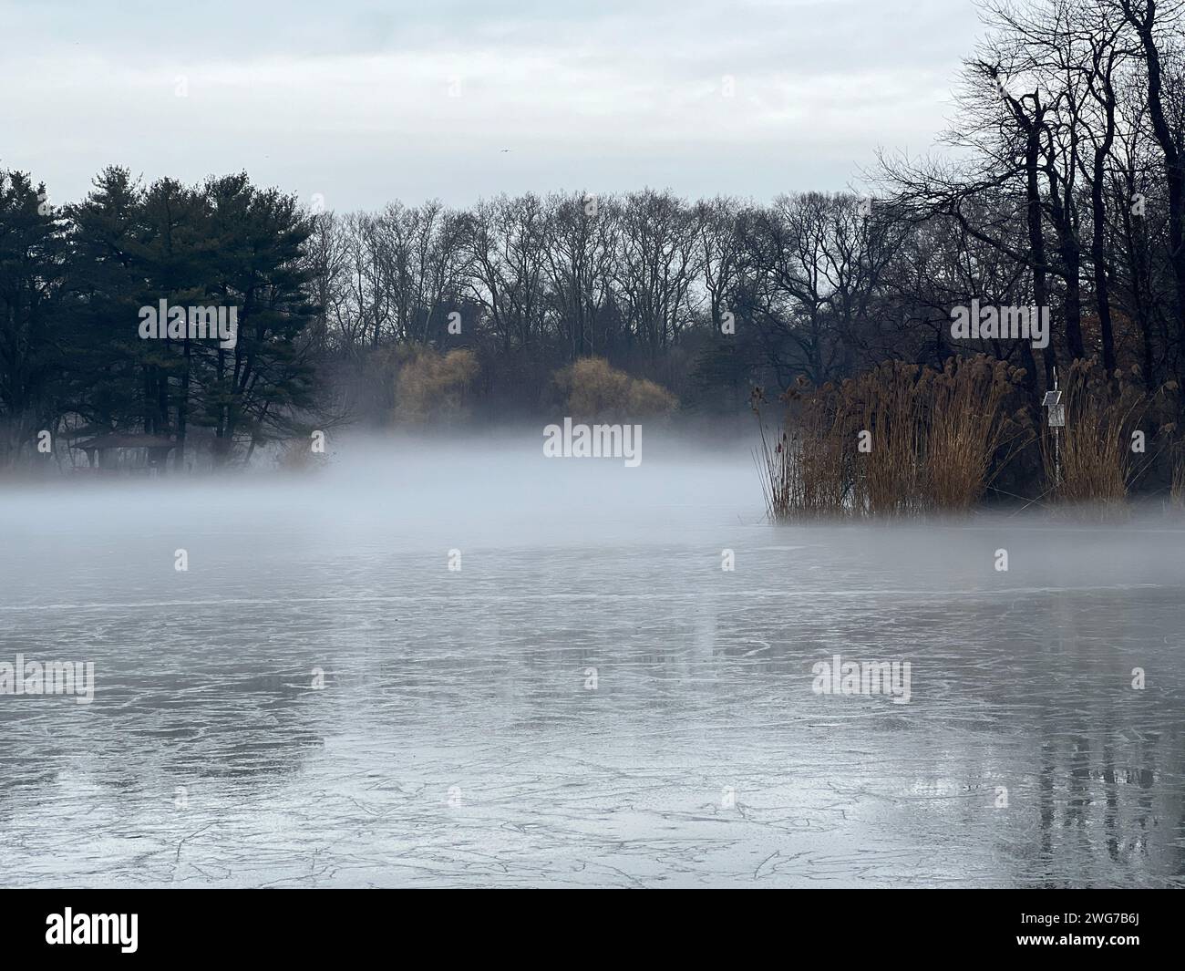 Mist rising off the lake on a rainy winter day in Prospect Park, Brooklyn, New York. Stock Photo