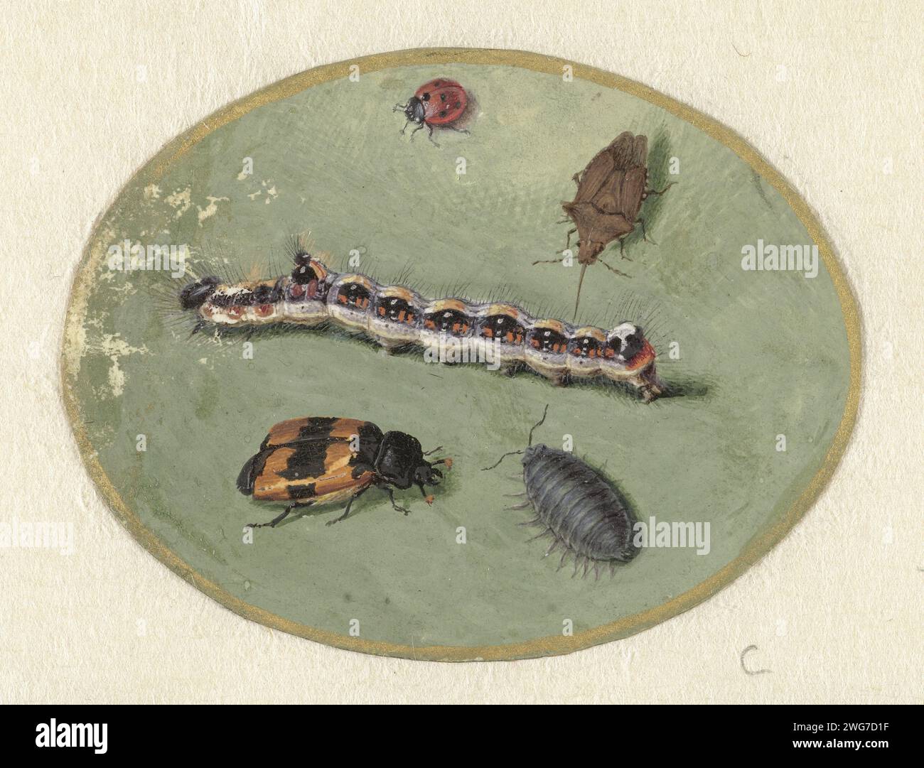 Ladybug, caterpillar, piss bed and two turrets, Jan Augustin van der ...