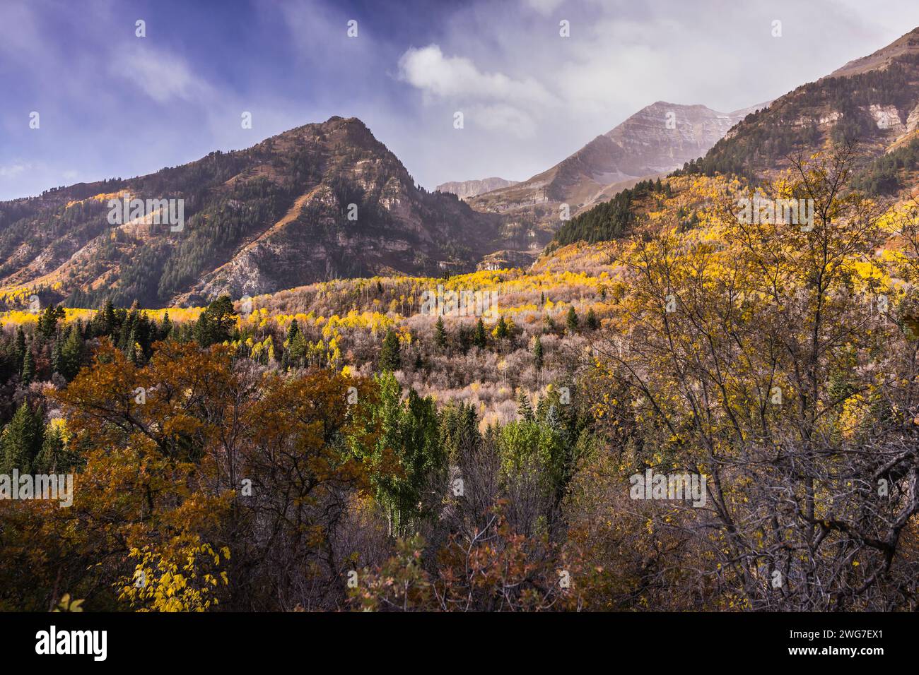 USA. State of Utah. Wasatch County. Wasatch Mountains. Along the Alpine Loop/Timpanogos. Stock Photo