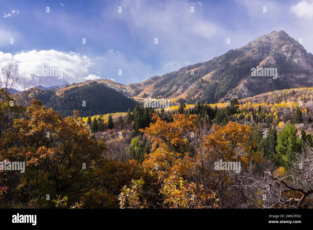 USA. State of Utah. Wasatch County. Wasatch Mountains. Along the Alpine Loop/Timpanogos. Stock Photo