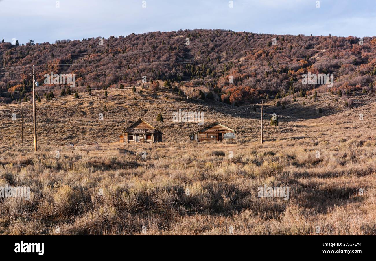 United States. Utah. Wasatch County. Wooden buildings, utility poles, and sagebrush (Artemisia tridentata) in the Wasatch Mountains in autumn. Stock Photo