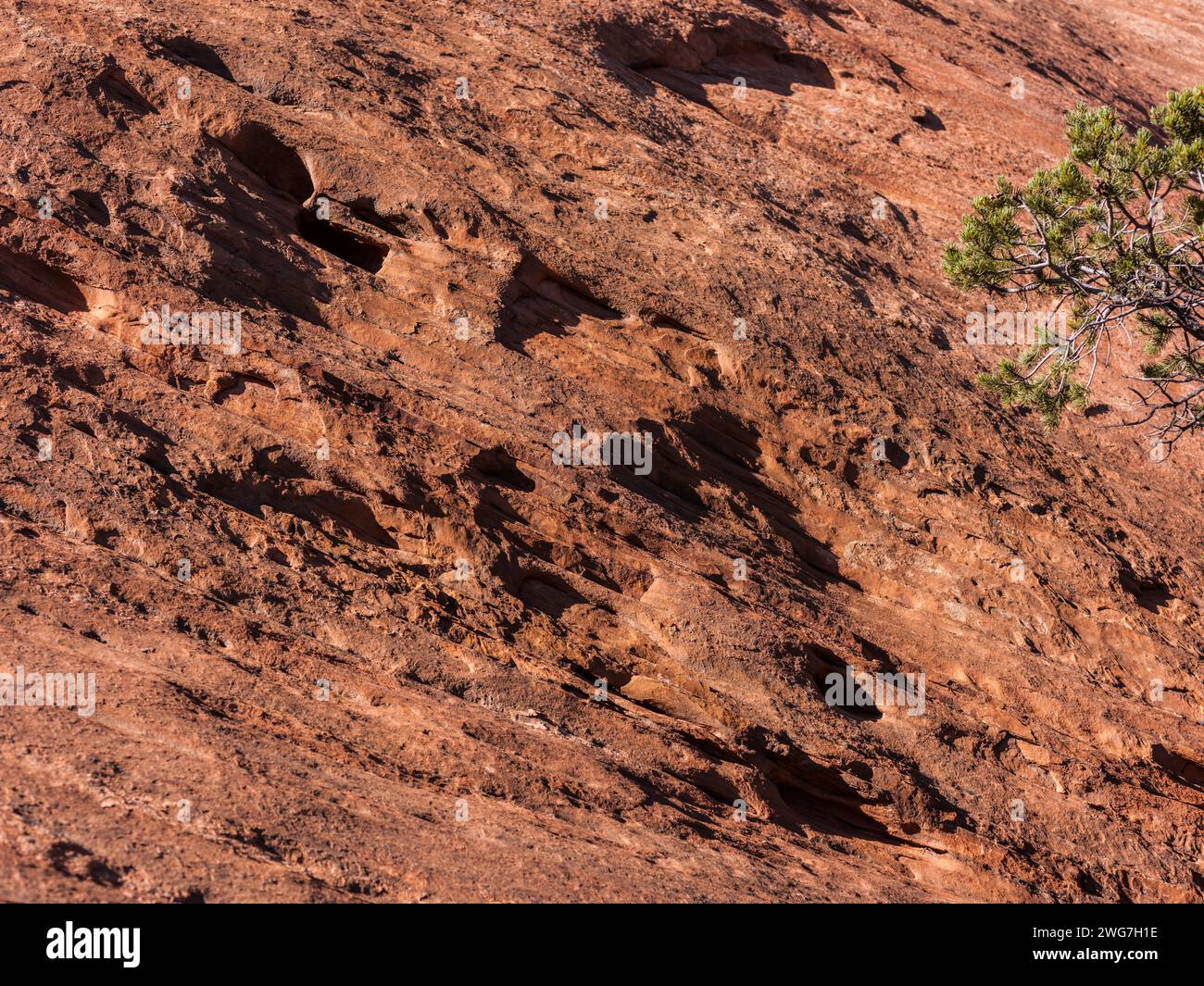 USA, State of Utah. Garfield County. Sandstone cliffs along the Burr ...