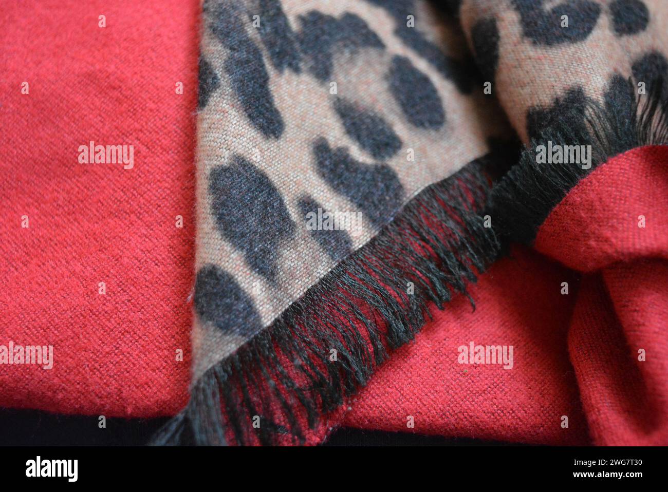 Very beautiful leopard coloring, leopard print black and beige color ...