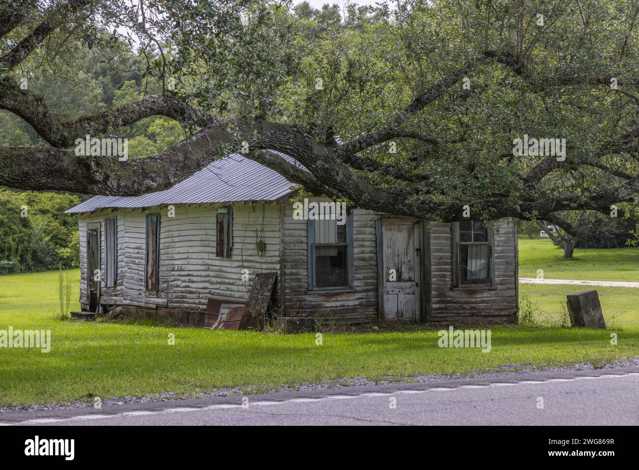 Old abandoned house behind an ancient Live Oak tree along Highway 53 in Harrison County, Mississippi Stock Photo