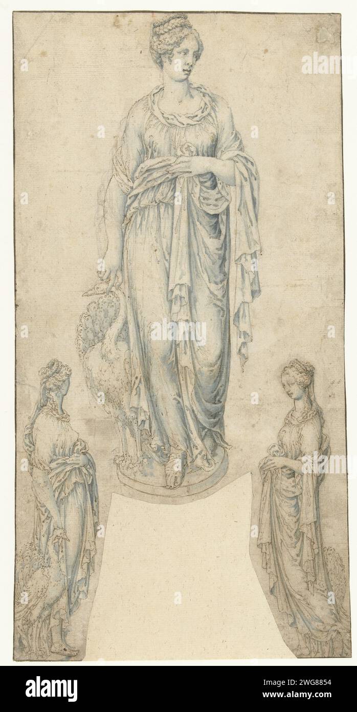 Three studies on or for a statue of Juno, Vincent Sellaer, 1538 - 1544 drawing   paper. chalk. ink pen / brush (story of) Juno (Hera). standing figure - AA - female human figure. piece of sculpture, reproduction of a piece of sculpture Stock Photo