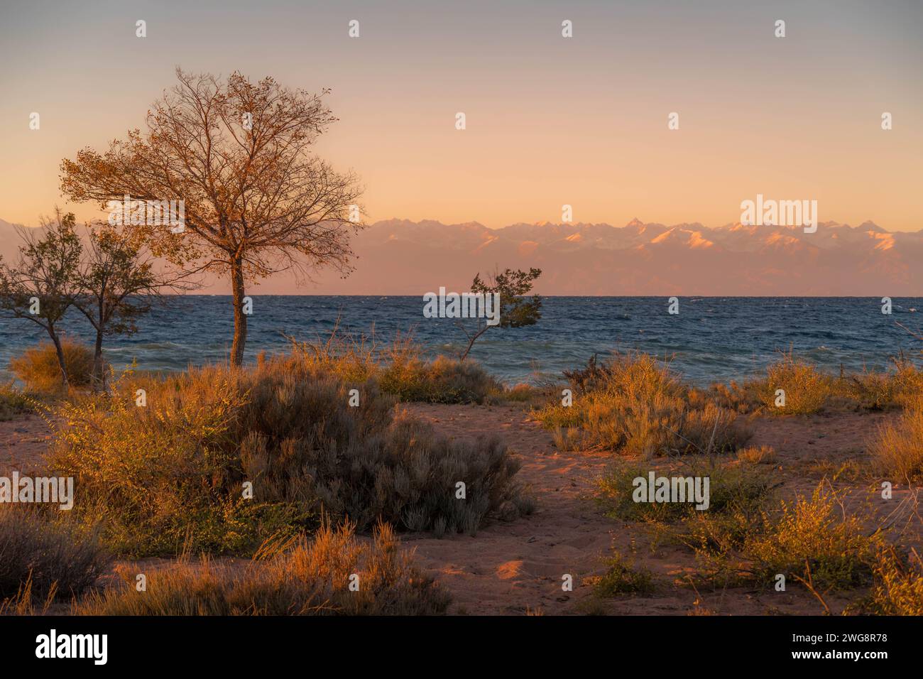 The sunset view of Issyk-Kul lake in Kyrgyzstan, a popular tourism destination, with blue water and Tian-Shan mountains on the horizon. Stock Photo