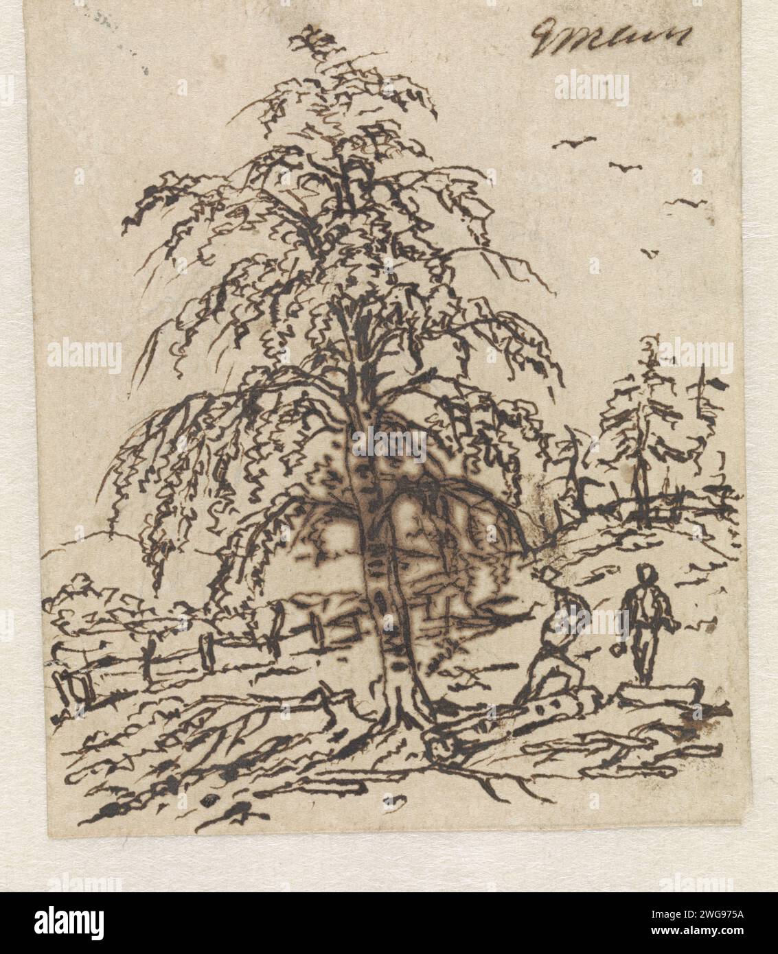 Landscape with Houthakker under Boom, Gerardus Emaus de Micault, 1799