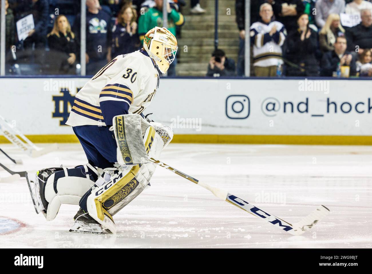South Bend Indiana USA 03rd Feb 2024 Notre Dame Goaltender Ryan south-bend-indiana-usa-03rd-feb-2024-notre-dame-goaltender-ryan