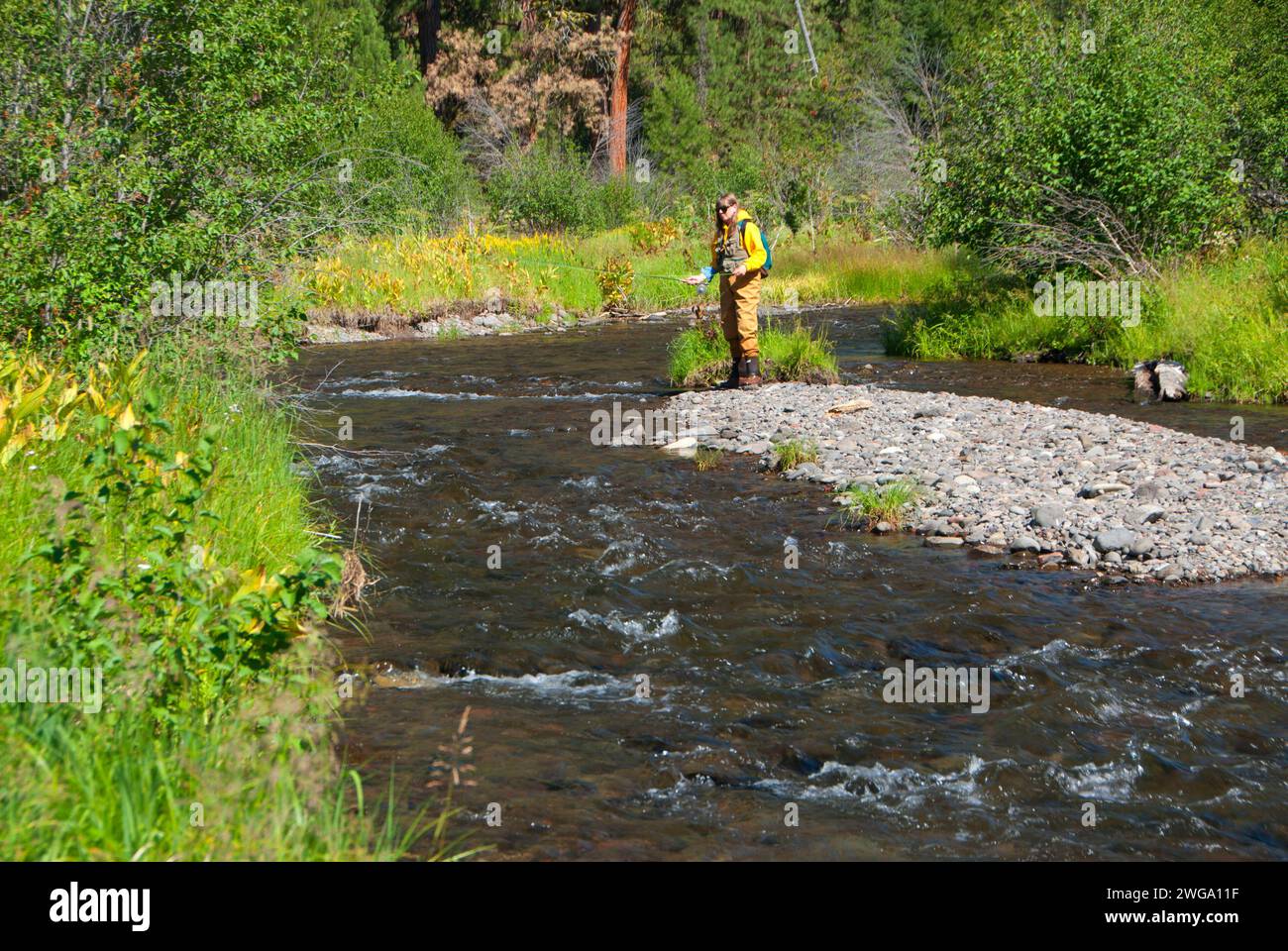 Escape to Oregon's Untamed Heart: North Fork Malheur Campground Adventure