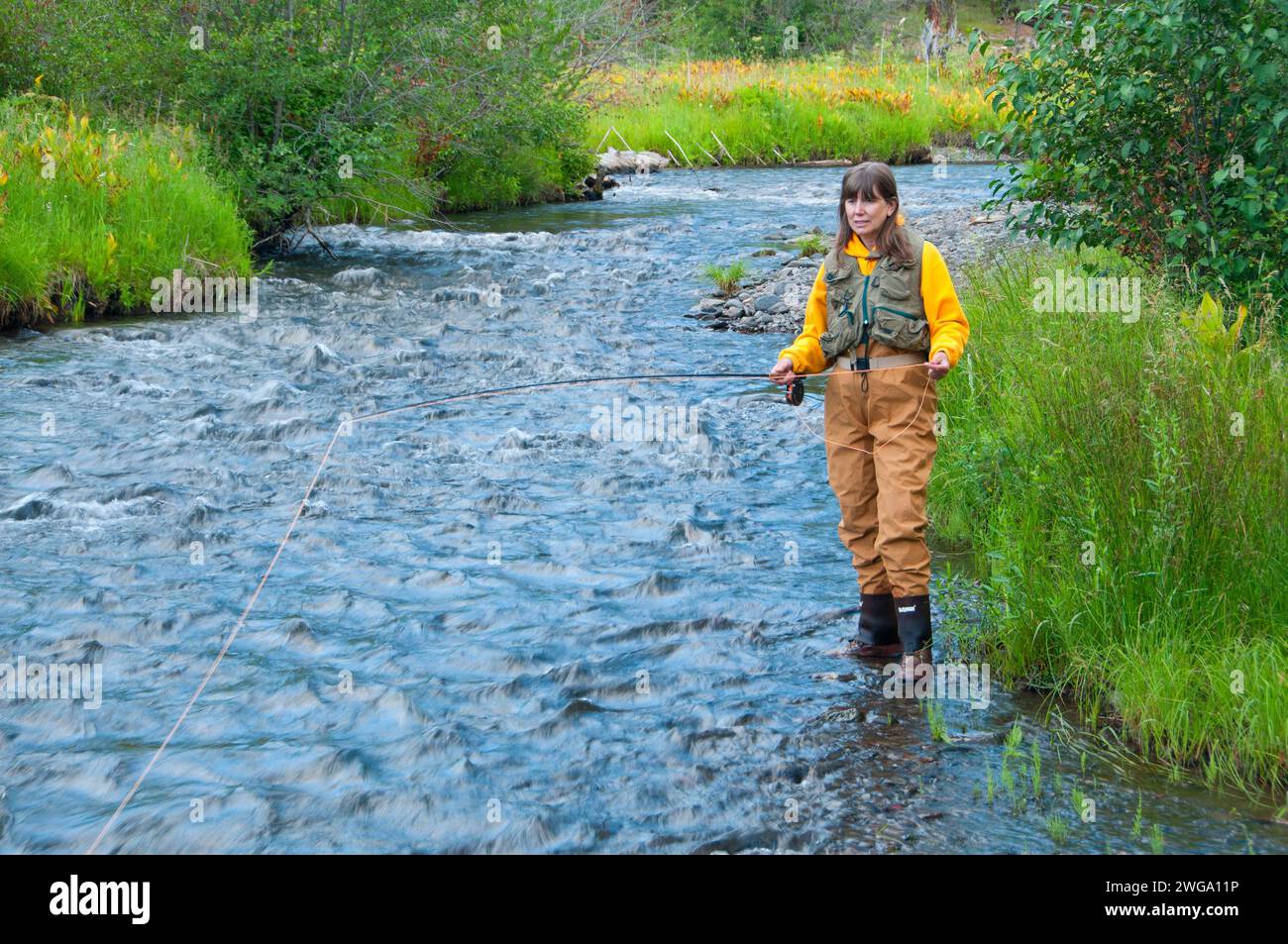 Fly fishing, North Fork Malheur Wild and Scenic River, Malheur National Forest, Oregon Stock Photo