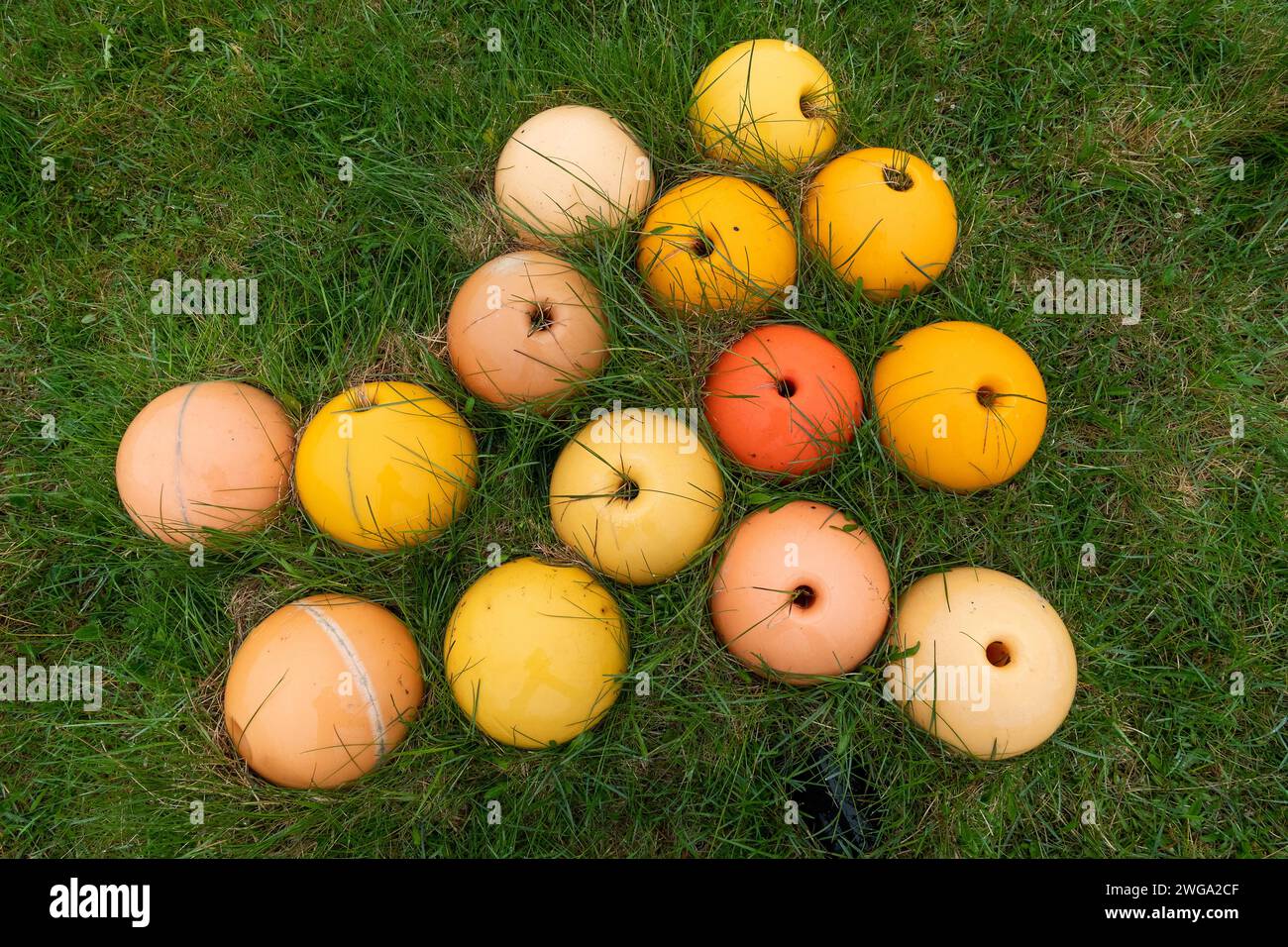 Arnes iceland hi-res stock photography and images - Alamy