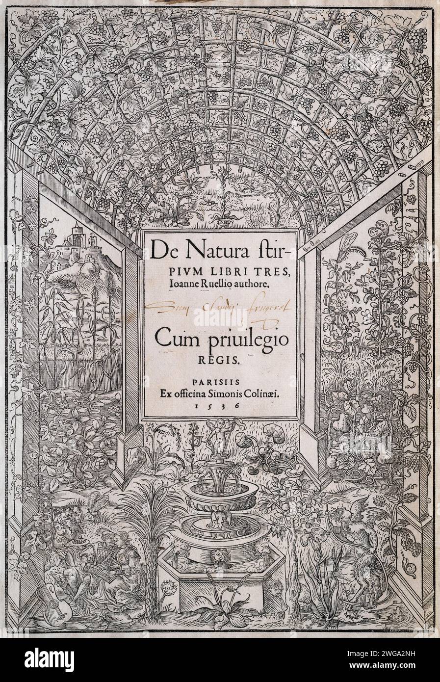 Frontispiece, title page, woodcut from De Natura stirpium libri tres by Simon de Colines, Paris, 1536 Stock Photo
