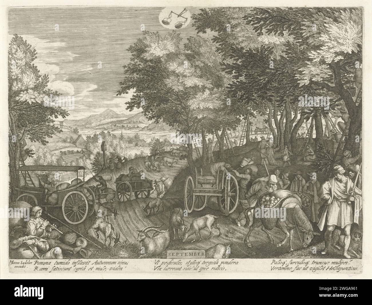 September, Giles Sadeler (2), after Pieter Stevens (1), after Pieter Stevens (2), 1624 - c. 1650 print September is the fruit month. On the right an orchard in which the apples are picked. They are collected in baskets and transported by donkey or farm carts. Left front a whistling shepherd, sitting on the floor with a small herd of goats. Hilly landscape with chapel along Landweg. The print has a Latin caption. print maker: Praagpublisher: Venice paper engraving September and its 'labours' (+ with zodiacal signs). picking fruit. climbing up a tree. orchard. crafts and industries (+ transport Stock Photo