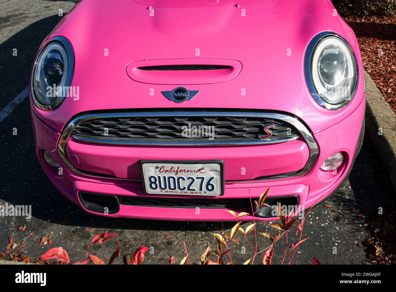 Front of a hot pink Mini Cooper S car in a parking lot. Stock Photo