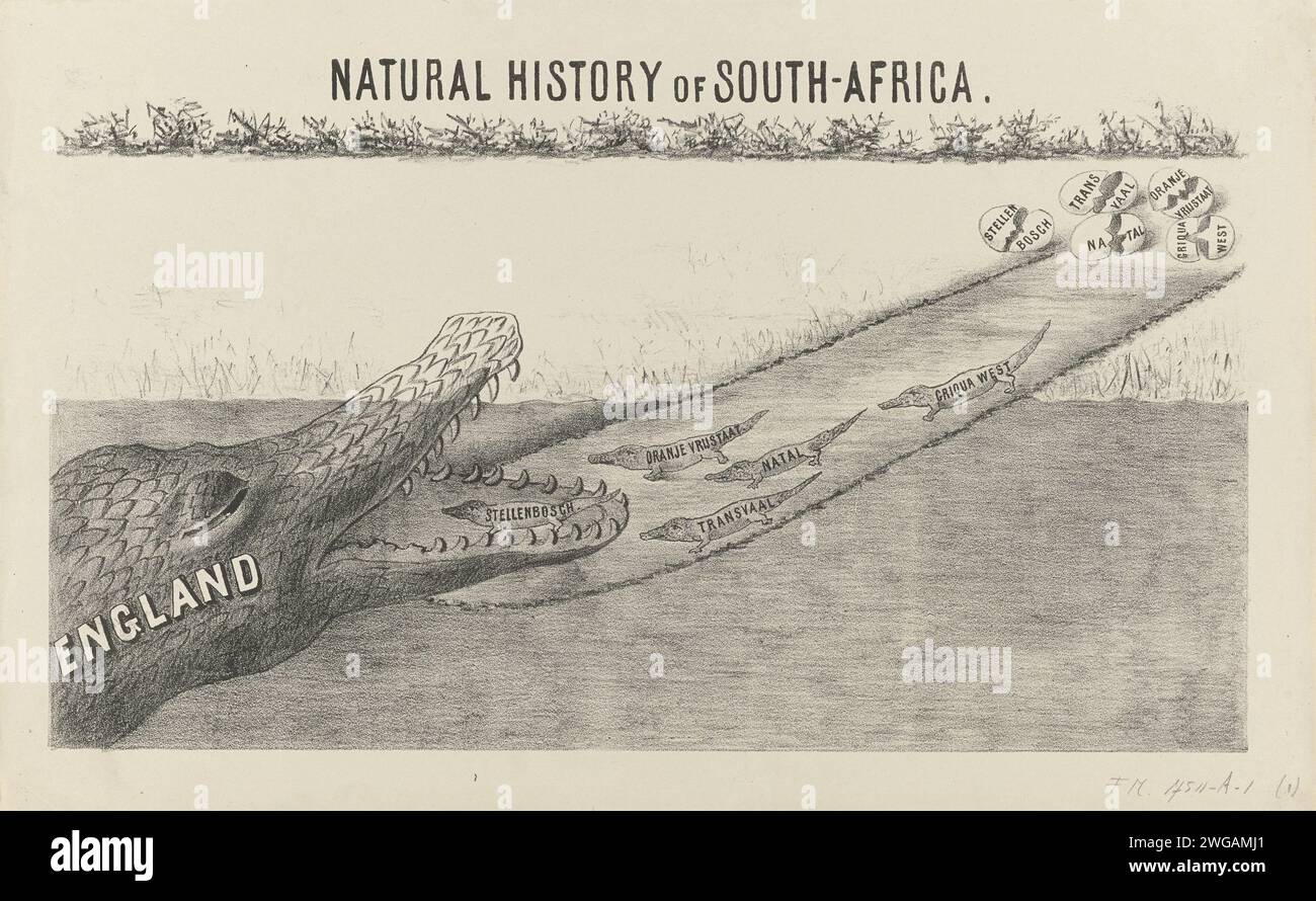 English crocodile eats her own offspring, 1877, 1877 - 1880 print The ...