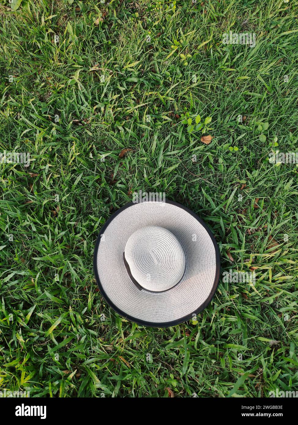 A sunhat decorated with black bow tie on lush green grass meadow, directly above view, holiday relax, picnic concept, rest time Stock Photo