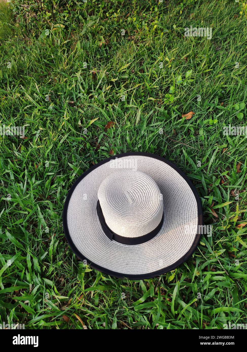 A sunhat decorated with black bow tie on lush green grass meadow, directly above view, holiday relax, picnic concept, rest time Stock Photo