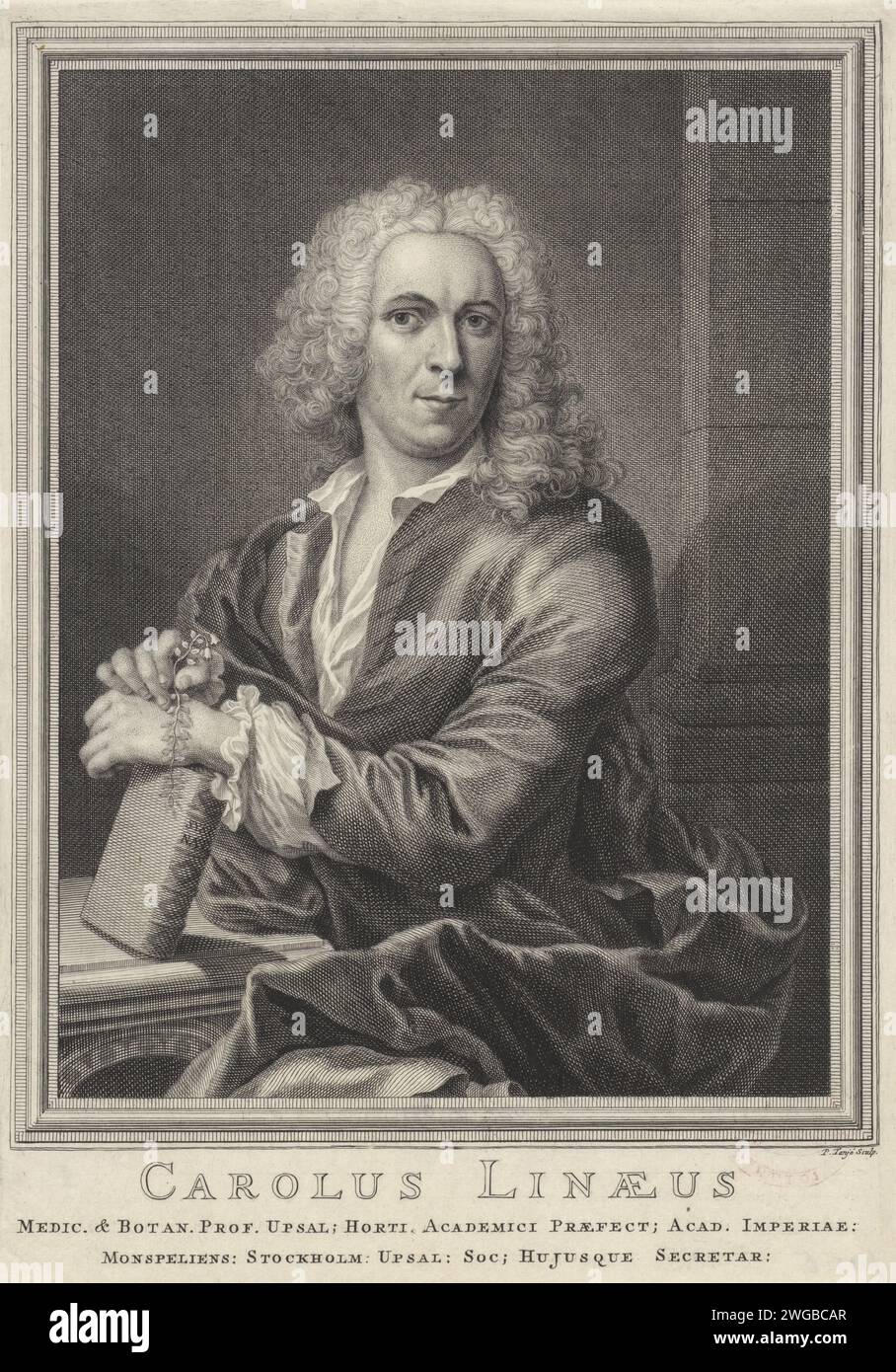 Portrait of Carolus Linaeus, Pieter Tanjé, 1716 - 1761 print Portrait of botanist Carolus Linaeus, resting his hands on his book Systema Naturae. Amsterdam paper engraving / etching flowers Stock Photo
