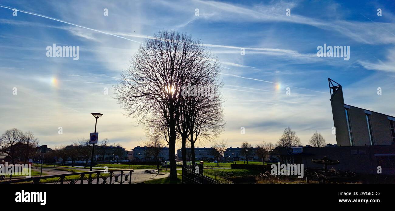 Panoramic view of sundogs or mocksuns on either side of the sun which is just behind a tree. Stock Photo