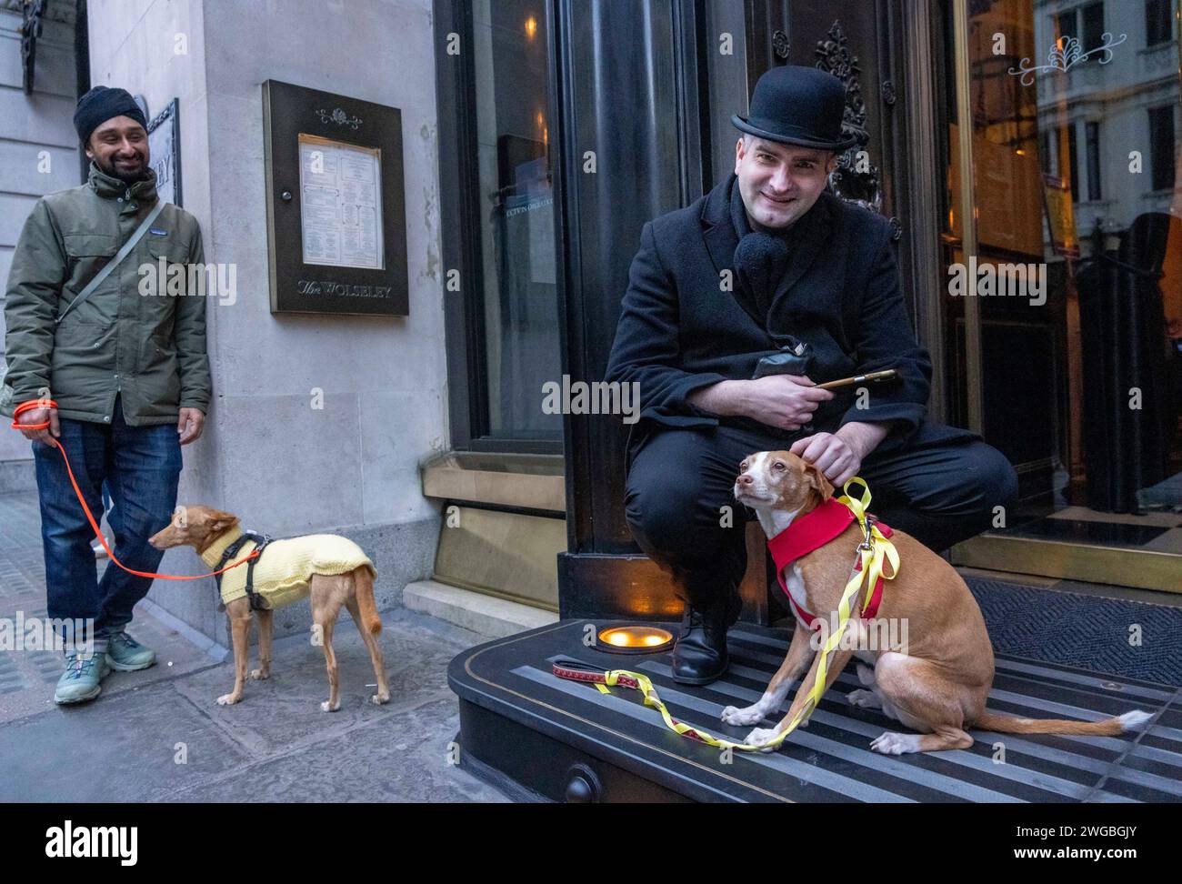 Hundreds of people from across the UK and their Spanish rescue dogs ...