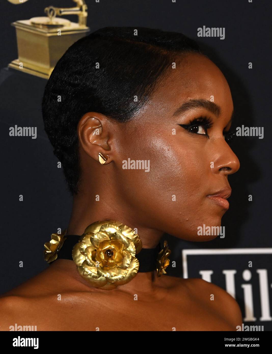 Beverly Hills, USA. 03rd Feb, 2024. Janelle Monae arriving at the Pre ...