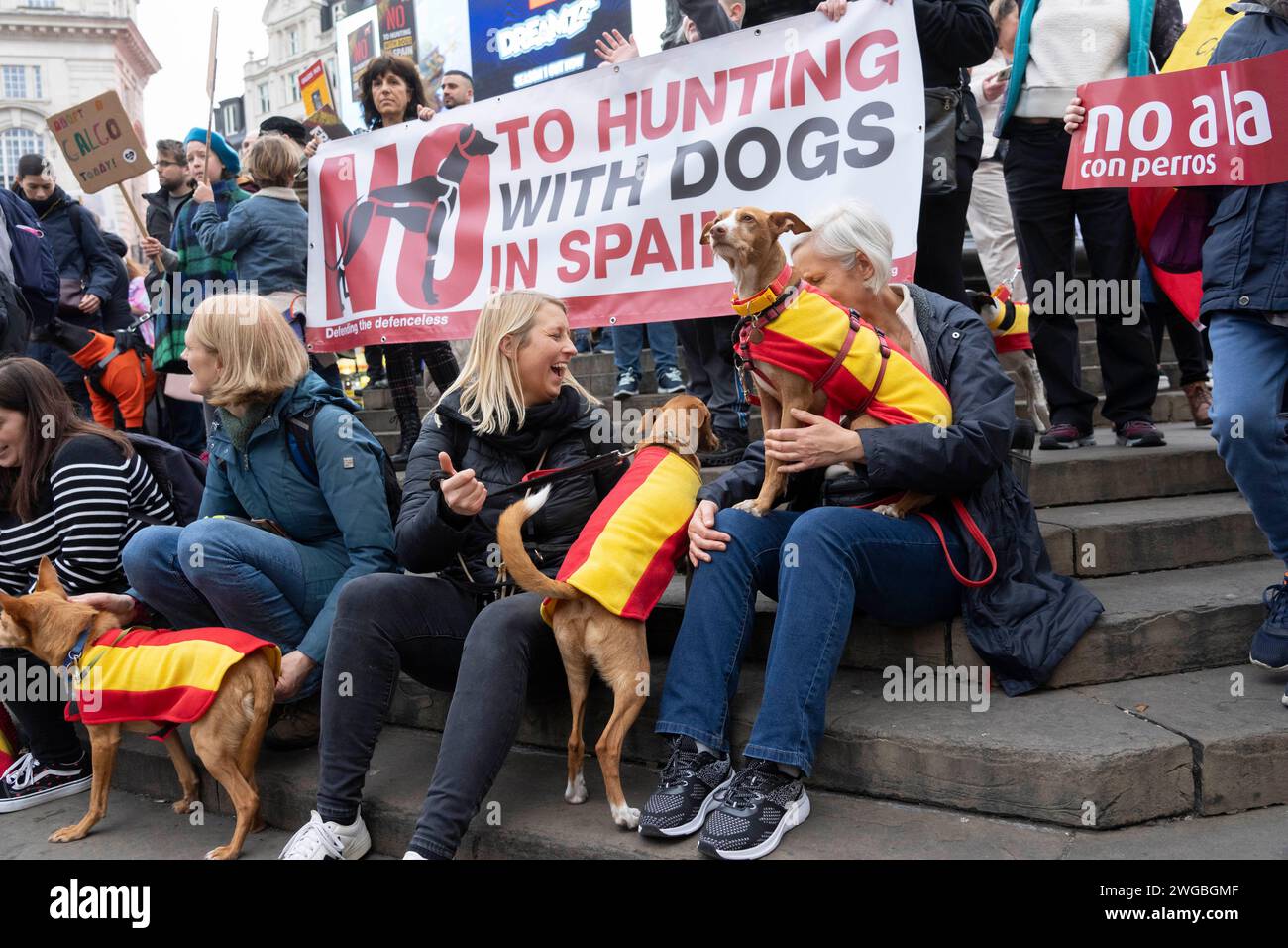 Hundreds of people from across the UK and their Spanish rescue dogs ...
