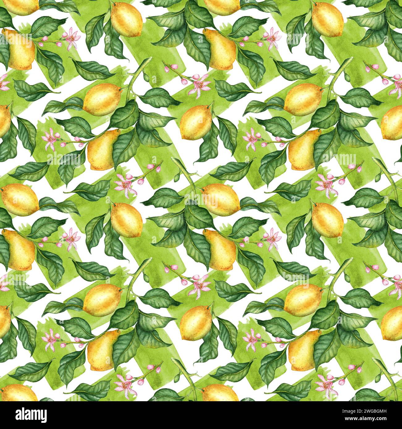 Watercolor illustration of a pattern of yellow lemons with green leaves ...